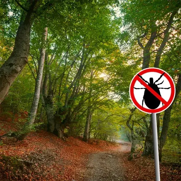 Tick Season Is Here. Is Your Yard Protected?
