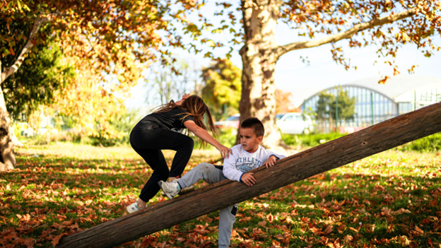 Do ticks die out in the fall?