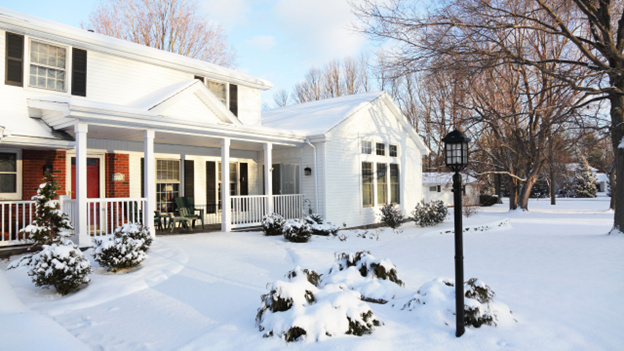 Is Pest Season Over in Winter?