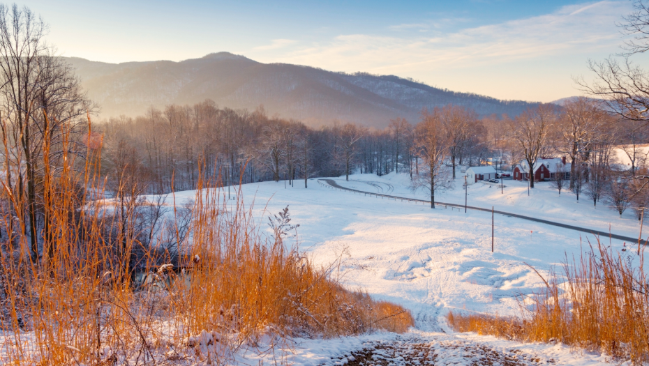 Do I Really Need Pest Control in Chattanooga During the Winter?