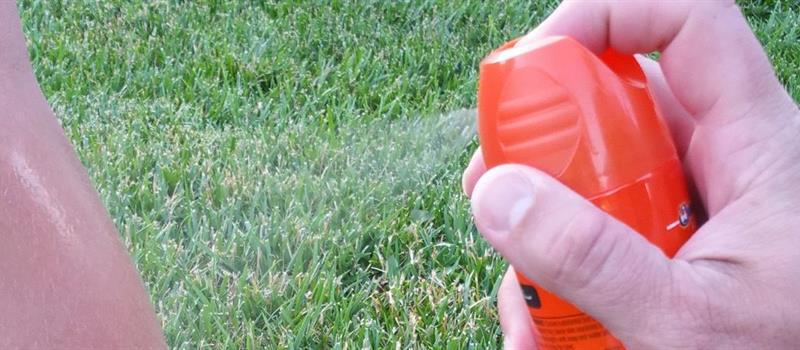 Three Sacrifices You Won’t Need to Make When You Choose Mosquito Squad of Greenville’s Barrier Treatment for Your Mosquito Control