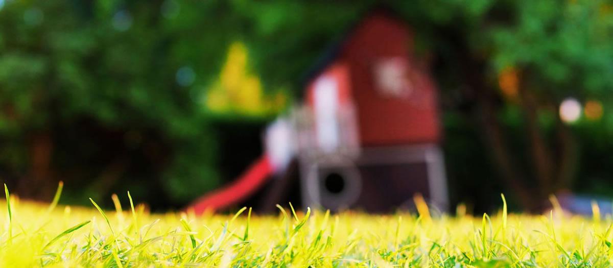 How Does Outdoor Pest Control Work?