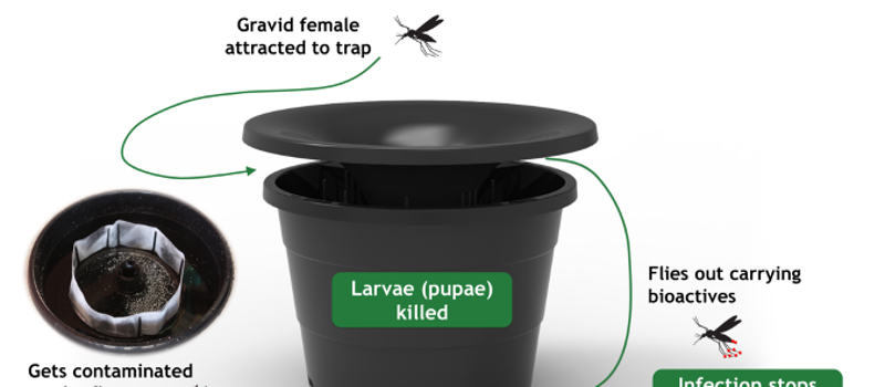 In2Care Mosquito Trap Near You, Fort Worth TX