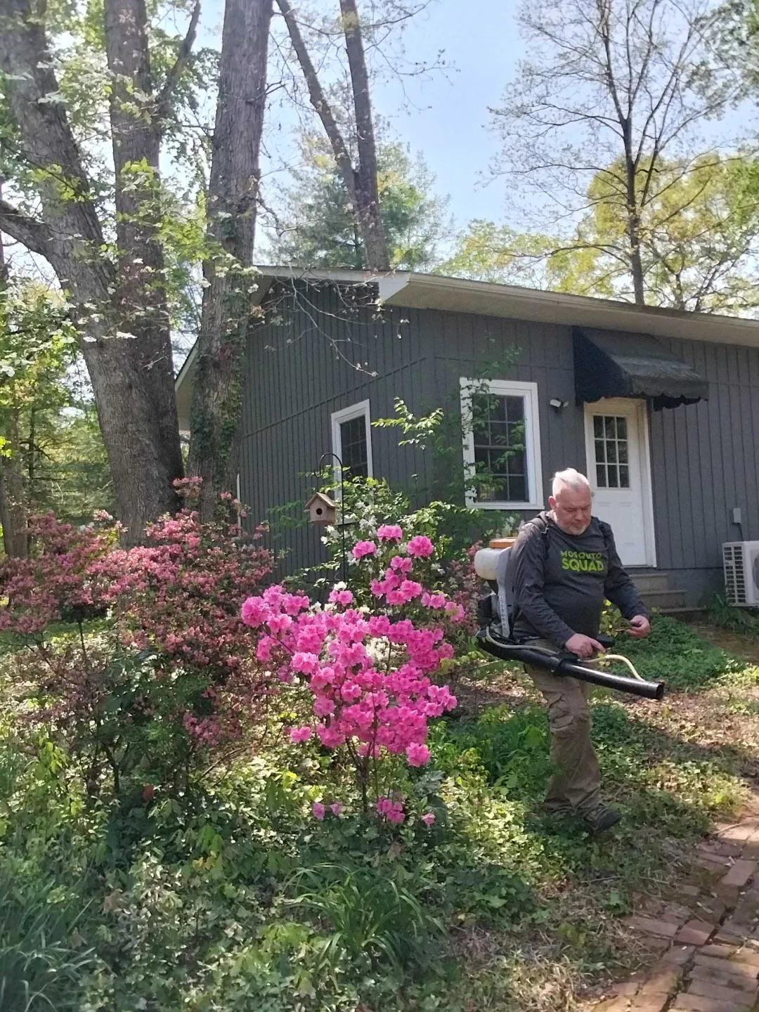 What the Beaverdam Creek Corridor Means for Tick Season in Hazel Green