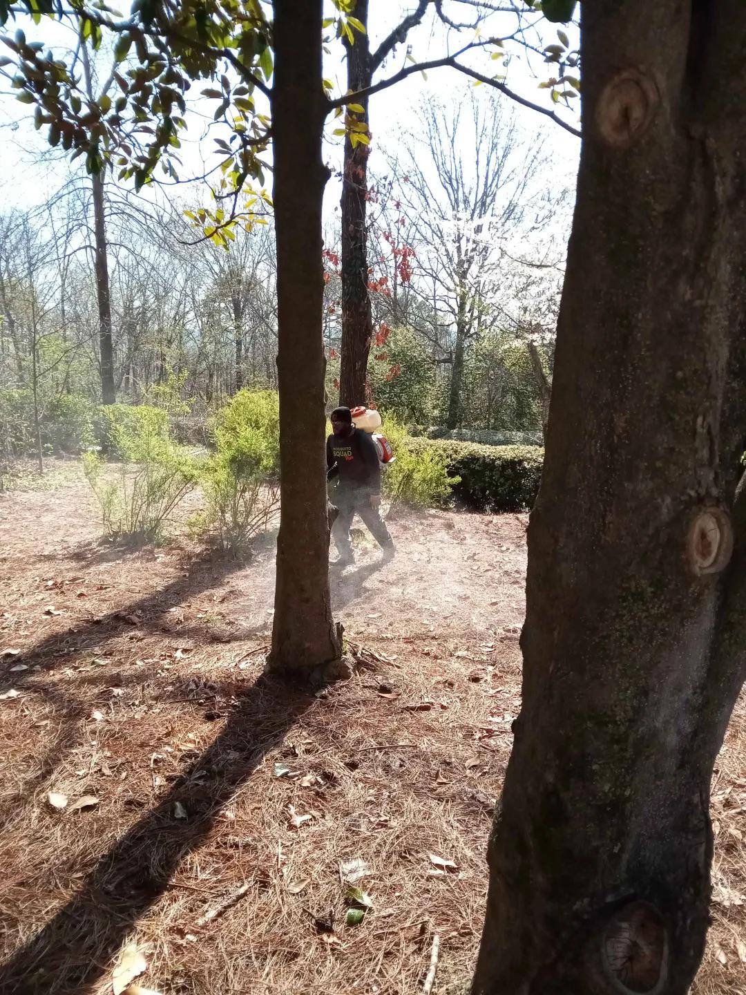 The Back Fence Line in Springboro Is Where Tick Season Actually Starts