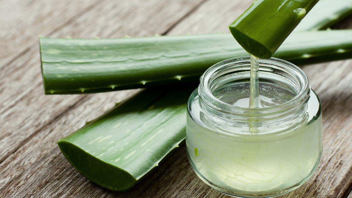 Make the Itching Stop Faster with these Mosquito Bite Remedies