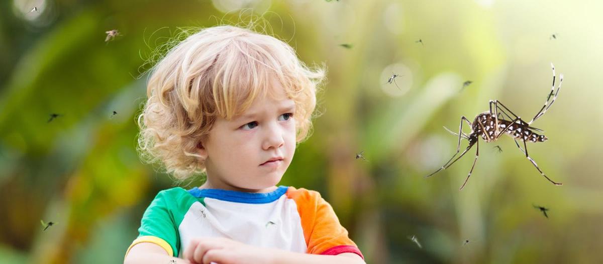 3 Reasons to Choose a Mosquito Misting System