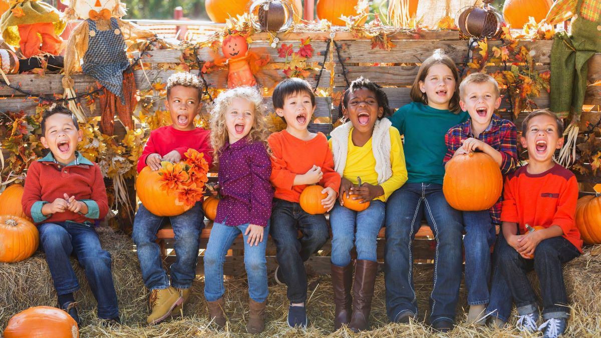 How Mosquito Squad of Newton Preps for Autumn Outdoor Gatherings