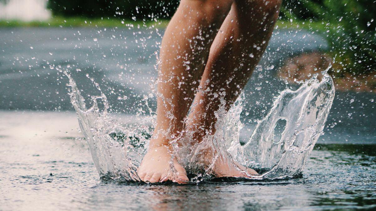 Why Are Mosquitoes Worse After Storms in St. Louis?