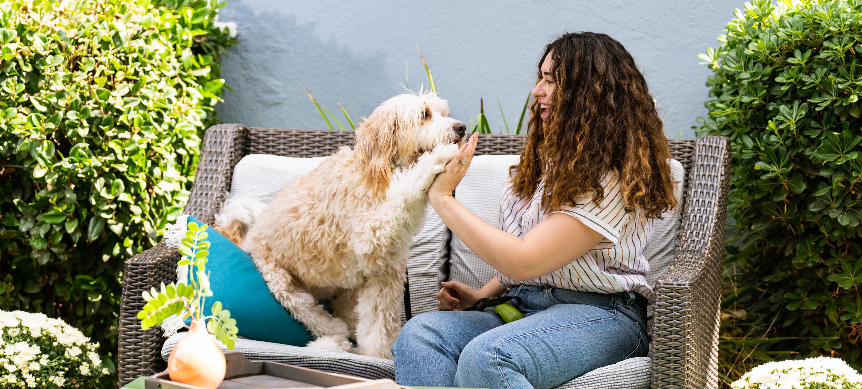 woman giving dog high five on outdoor couch