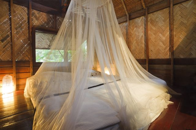 Can Chiggers Live in Your Bed?
