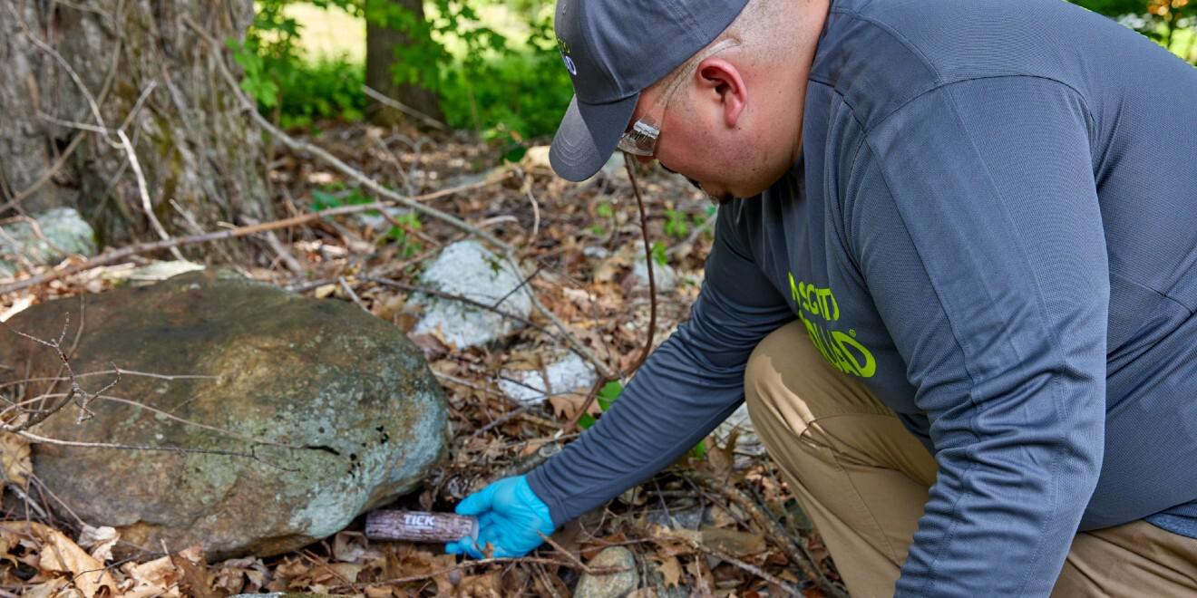 Our Favorite Benefits of Year-Round Pest Control