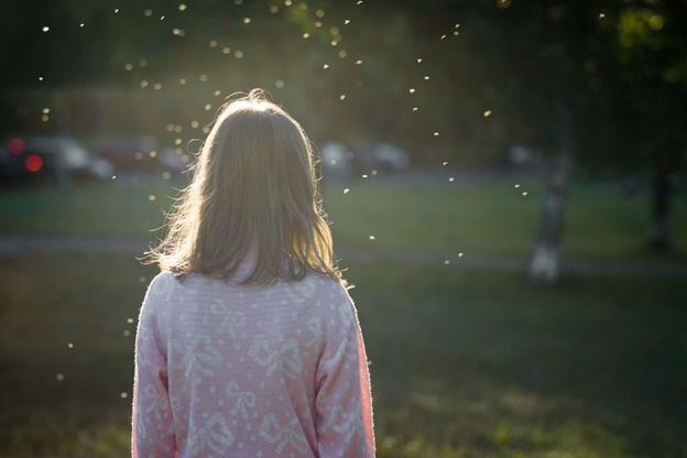 Mosquito and Ticks in Your Yard? Marlborough, CT Mosquito and Tick Control Can Help!