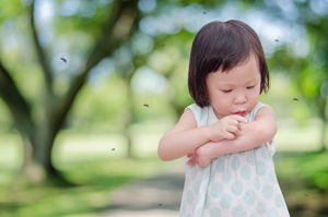 Allergic to Mosquito Bites? Here’s How to Thrive This Summer