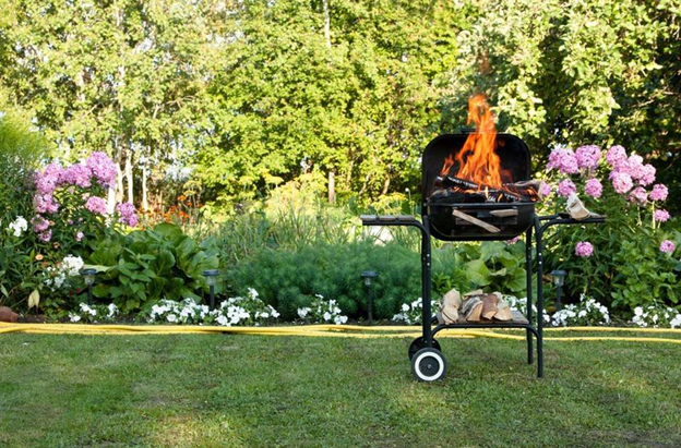 Looking for Avon Mosquito Control and Avon Tick Control? Mosquito Squad Is Here!