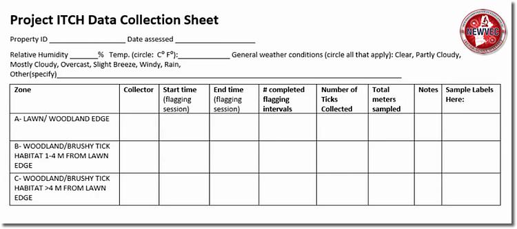 project itch graph