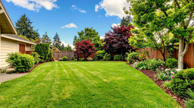 What Makes Your Yard Feel Like Home to Pests?