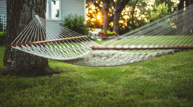 Backyard Mosquito Problems? Mosquito Nurseries are Near