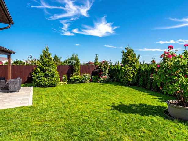 How Long Do Mosquitoes Live in Your Yard?