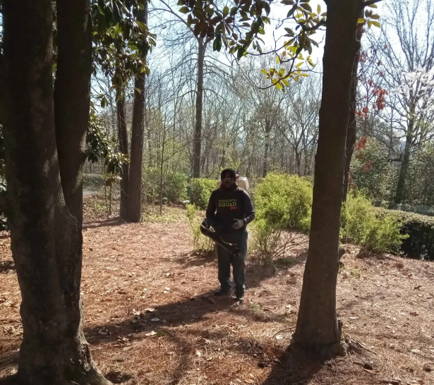 What Living on the Mountain Side of Huntsville Does to Tick Season in Willowbend