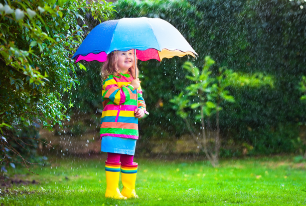 Spring Pest Control in Salt Lake City: What Wakes Up First?