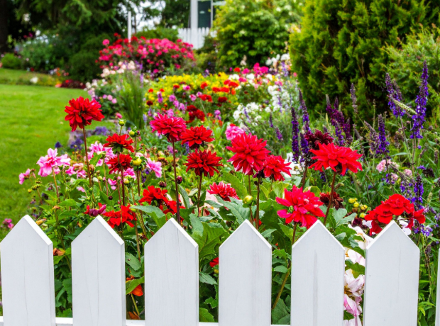 Springtime Pest Behavior in Woodbridge, CT: A Guide