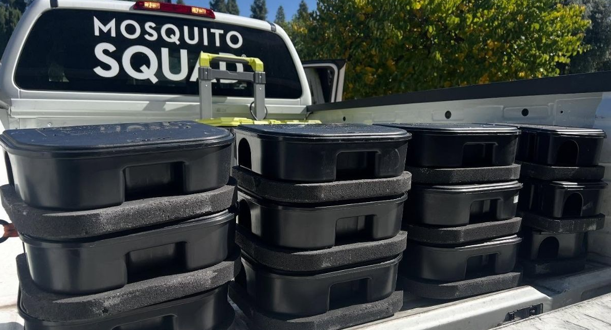 El Paso Rodent Control: Keep Rats & Mice Out for Good