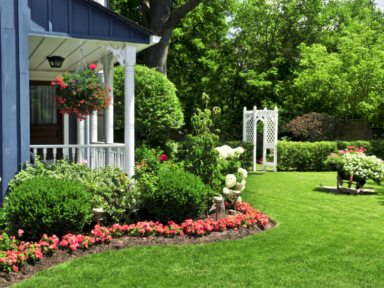 How to Prepare for Mosquitoes This Spring