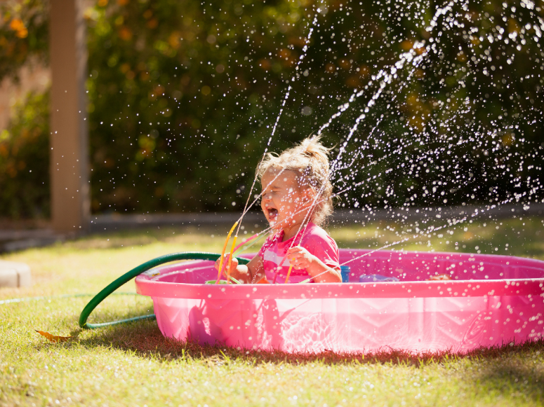 Where Mosquitoes Breed in Your Yard