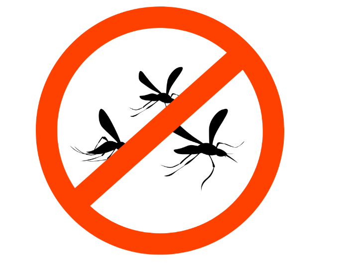 Who Do I Call for Chicago Pest Control?