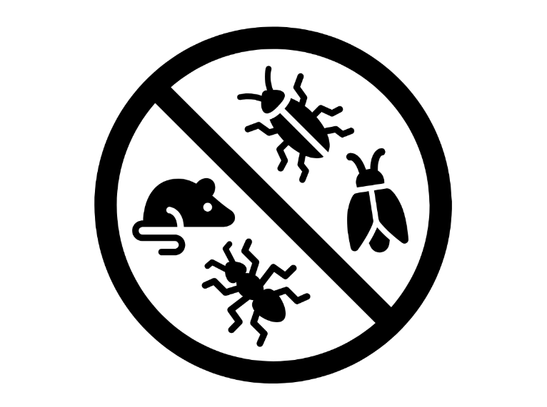 Which Pests Should I Be Concerned About During Winter