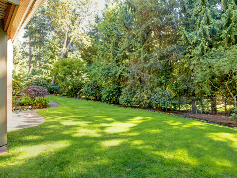 Why a Clean Yard Doesn't Protect You From Mosquitoes in Red Bank, NJ