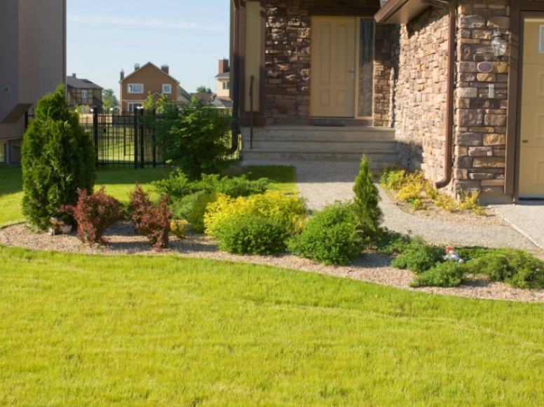 Why Small Yards in Blackwood Still Have Big Mosquito Problems