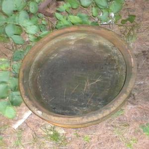 standing water mosquito breeding