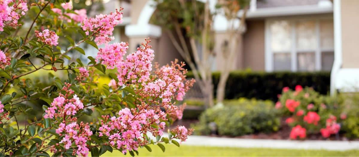 Is There Yard Treatment for Mosquitoes and No-See-Ums?